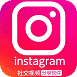 ins成人版